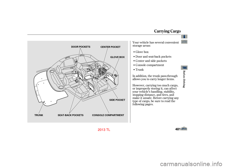 Acura TL 2013  Owners Manual Your vehicle has several convenient
storage areas:Glove box
Door and seat-back pockets
Trunk Console compartment Center and side pockets
In addition, the trunk pass-through
allows you to carry longer 