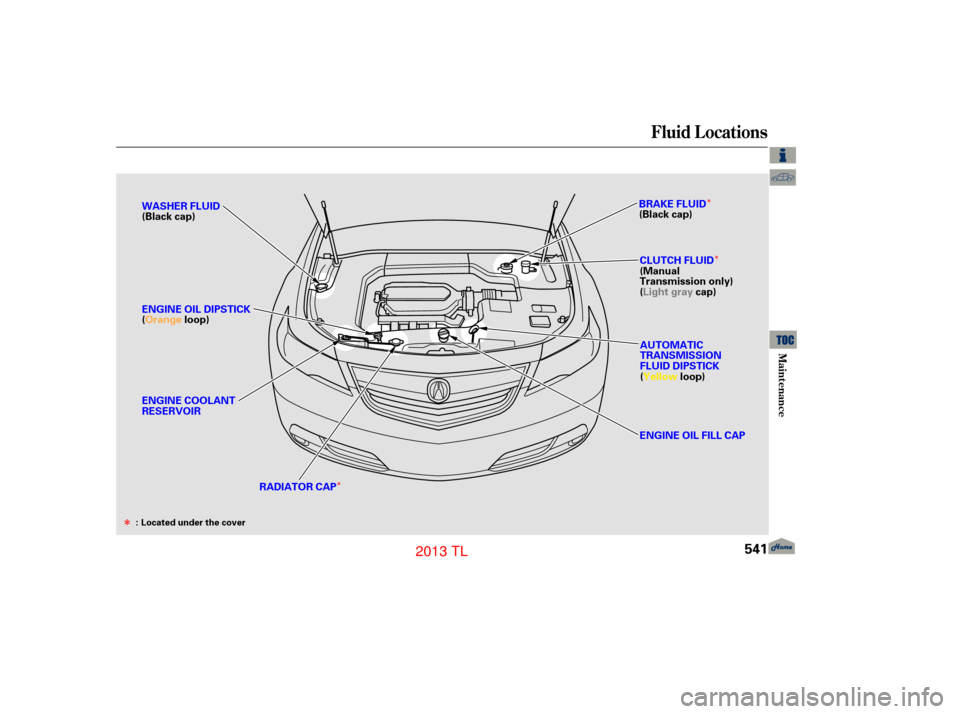 Acura TL 2013  Owners Manual ÎÎ
Î
Î
Fluid Locations
Maint enance
541
WASHER FLUID
(Black cap)
ENGINE OIL FILL CAPAUTOMATIC
TRANSMISSION
FLUID DIPSTICK
(Yellow
loop)
ENGINE OIL DIPSTICK
(Orange
loop)
RADIATOR CAP BRAKE FLU
