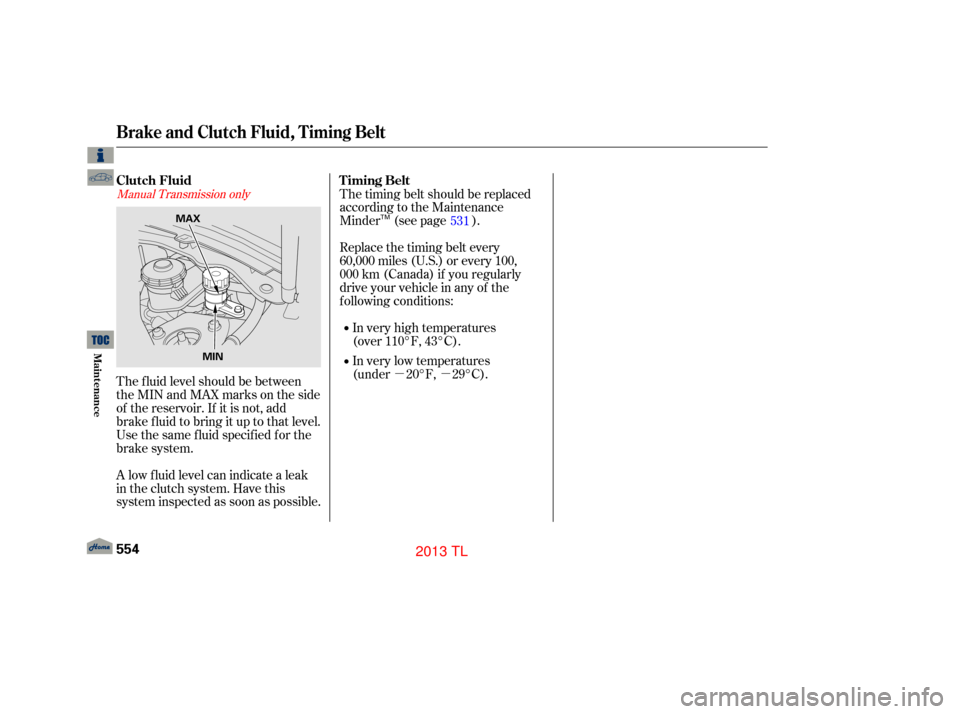 Acura TL 2013  Owners Manual µµ
Manual Transmission only
The f luid level should be between
theMINandMAXmarksontheside
of the reservoir. If it is not, add
brake f luid to bring it up to that level.
Use the same fluid specifie