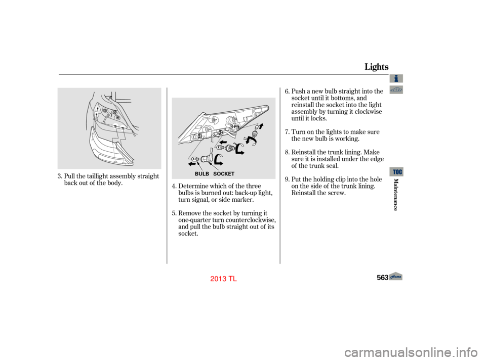 Acura TL 2013  Owners Manual Push a new bulb straight into the
socket until it bottoms, and
reinstall the socket into the light
assembly by turning it clockwise
until it locks.
Turn on the lights to make sure
the new bulb is work