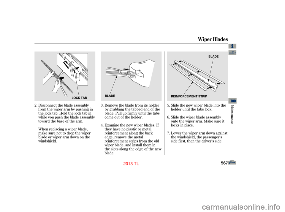 Acura TL 2013  Owners Manual Slide the new wiper blade into the
holder until the tabs lock.
Slide the wiper blade assembly
onto the wiper arm. Make sure it
locks in place.
Lower the wiper arm down against
the windshield, the pass