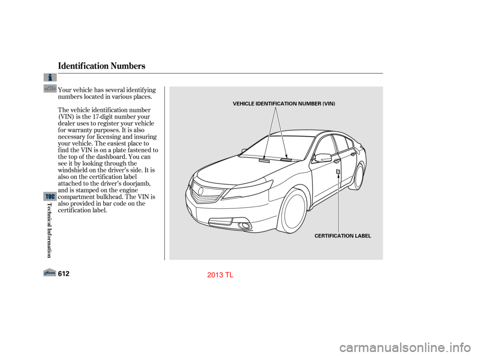 Acura TL 2013  Owners Manual Your vehicle has several identif ying
numbers located in various places.
The vehicle identif ication number
(VIN) is the 17-digit number your
dealer uses to register your vehicle
f or warranty purpose