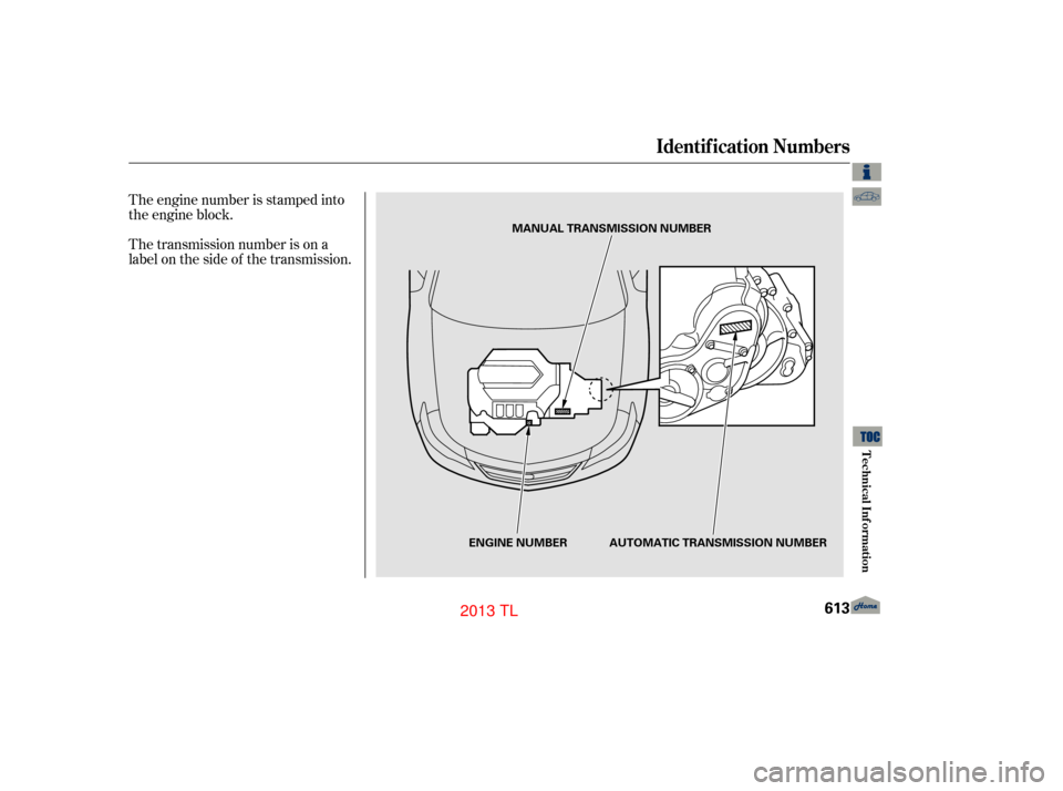 Acura TL 2013  Owners Manual The engine number is stamped into
the engine block.
The transmission number is on a
label on the side of the transmission.
Identif ication Numbers
Technical Inf ormation
613
MANUAL TRANSMISSION NUMBER