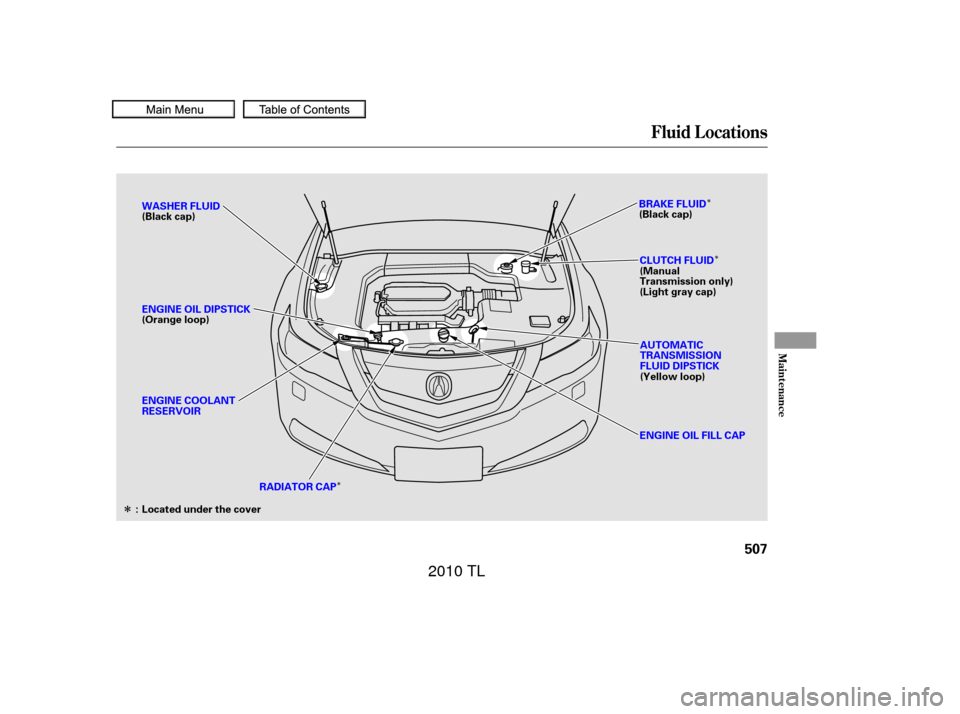 Acura TL 2010  Owners Manual Î
ÎÎ
Î
Fluid Locations
Maint enance
507
WASHER FLUID
(Black cap)
ENGINE OIL FILL CAPAUTOMATIC
TRANSMISSION
FLUID DIPSTICK
(Yellow loop)
ENGINE OIL DIPSTICK
(Orange loop)
: Located under the co