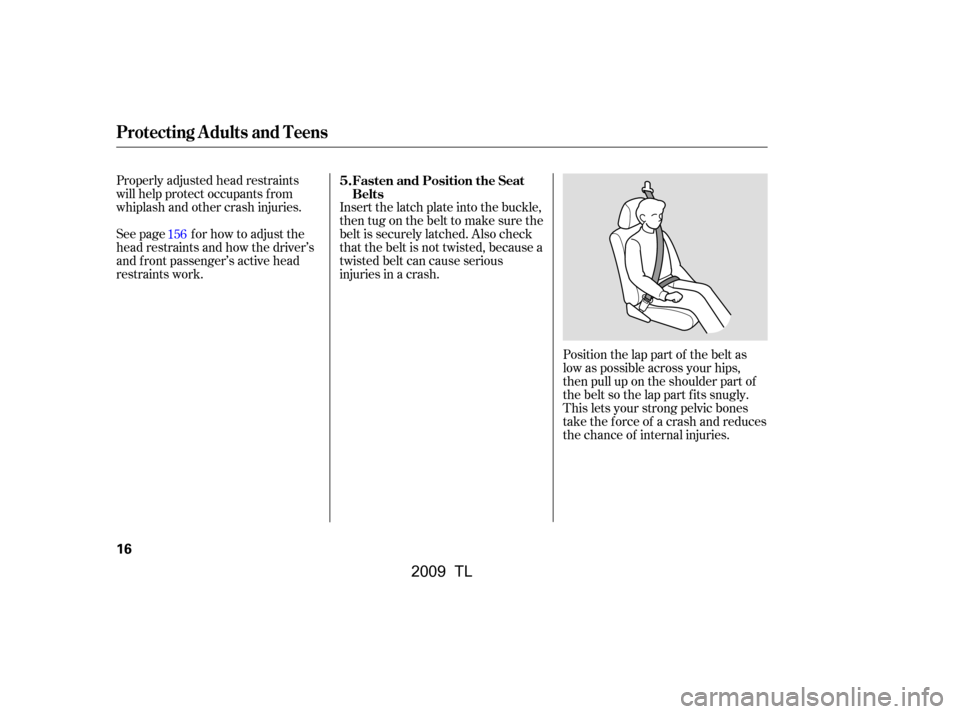 Acura TL 2009 User Guide Properly adjusted head restraints 
will help protect occupants f rom
whiplash and other crash injuries. 
See page f or how to adjust the 
head restraints and how the driver’s
and f ront passenger’