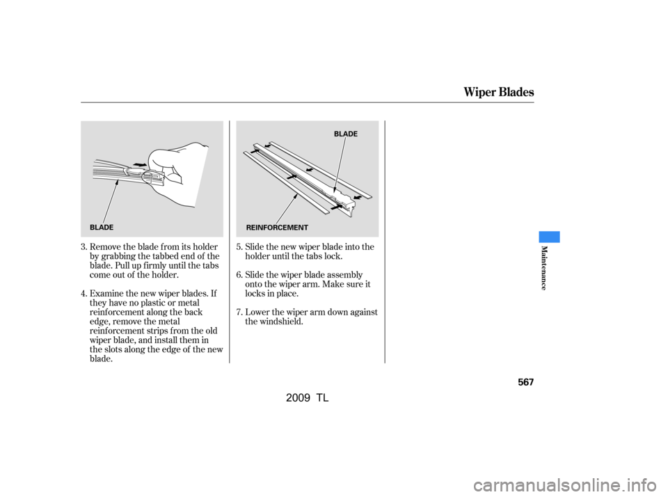 Acura TL 2009  Owners Manual Remove the blade f rom its holder 
by grabbing the tabbed end of the
blade. Pull up f irmly until the tabs
come out of the holder. 
Examine the new wiper blades. If 
they have no plastic or metal
rein