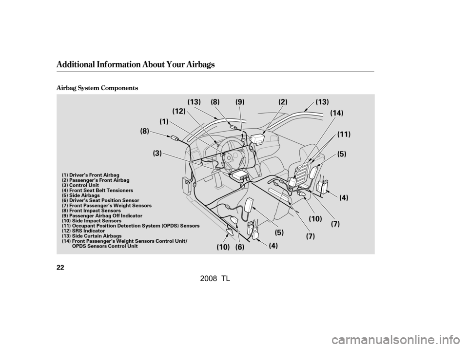Acura TL 2008  Owners Manual A irbag System Components
Additional Inf ormation About Your Airbags
22
(3)(7)
(7) (10) (4)
(8)
(1)(12)
(13)
(8)
(9)
(5) 
(11)
(2) (13)
(5)
(4)
(6)
(10) (14)
(1) Driver’s Front Airbag 
(2) Passenger