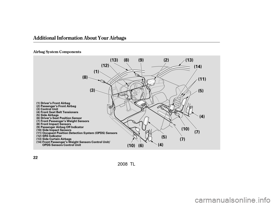 Acura TL 2008 Owners Guide A irbag System Components
Additional Inf ormation About Your Airbags
22
(3)(7)
(7) (10) (4)
(8)
(1)(12)
(13)
(8)
(9)
(5) 
(11)
(2) (13)
(5)
(4)
(6)
(10) (14)
(1) Driver’s Front Airbag 
(2) Passenger