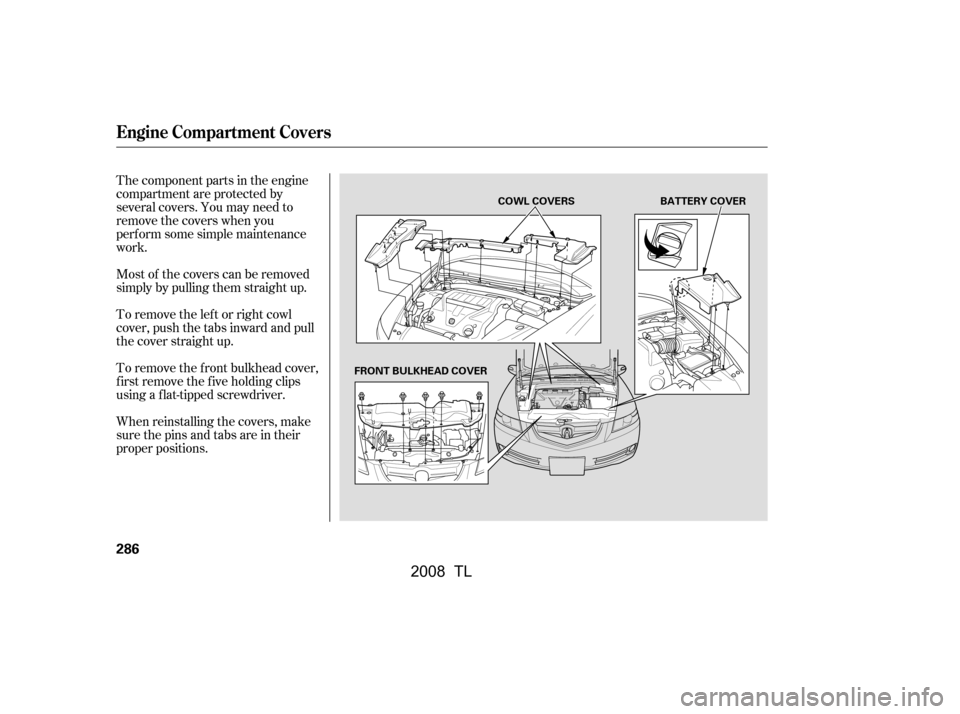 Acura TL 2008  Owners Manual The component parts in the engine 
compartment are protected by
several covers. You may need to 
remove the covers when you 
perf orm some simple maintenance
work. 
Most of the covers can be removed 
