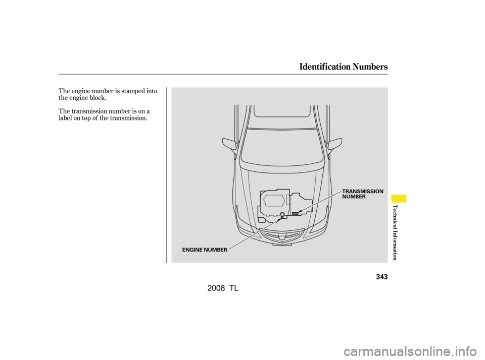 Acura TL 2008  Owners Manual The transmission number is on a 
label on top of the transmission. 
The engine number is stamped into 
the engine block.
Identif ication Numbers
Technical Inf ormation
343
ENGINE NUMBERTRANSMISSION 
N