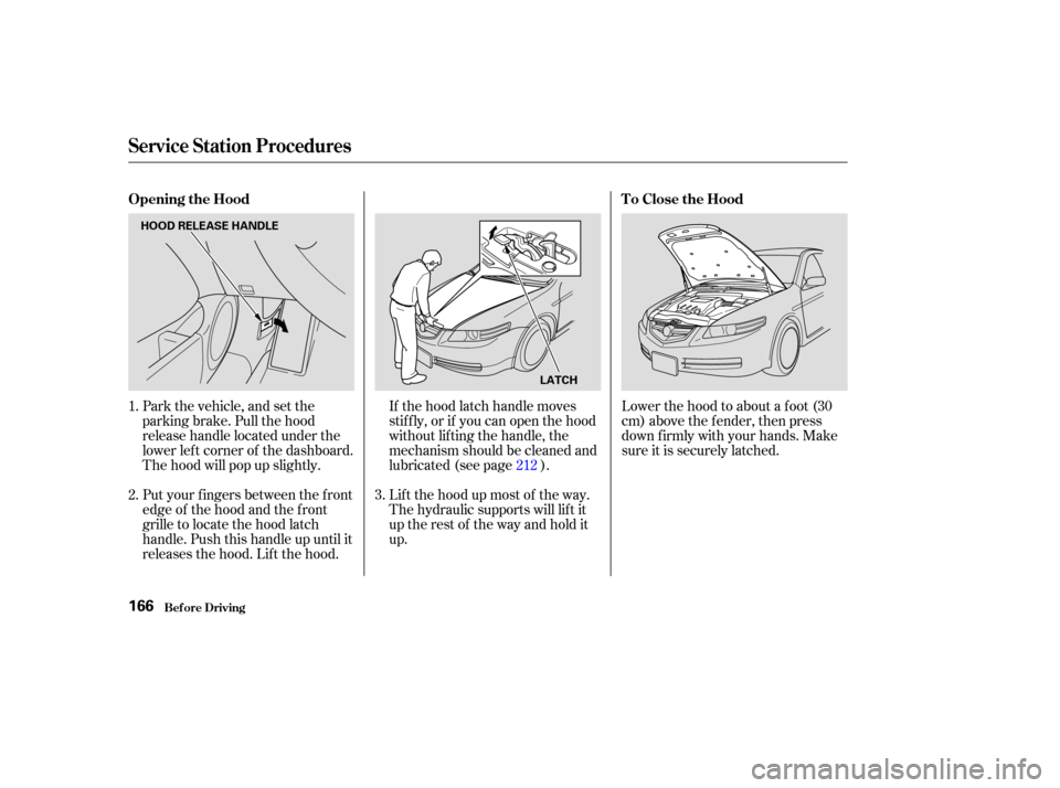 Acura TL 2004  Owners Manual Park the vehicle, and set the
parking brake. Pull the hood
release handle located under the
lower lef t corner of the dashboard.
The hood will pop up slightly.
Put your f ingers between the f ront
edg