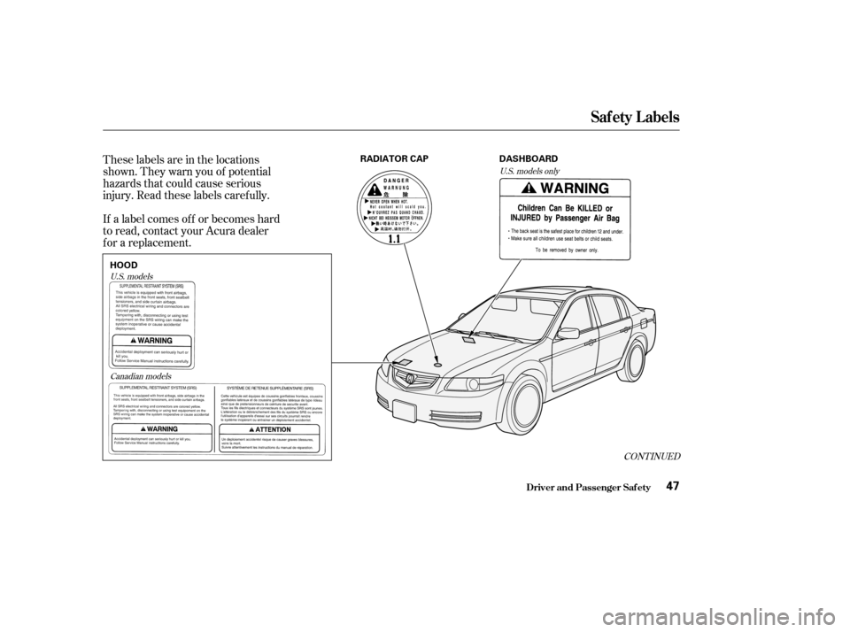 Acura TL 2004  Owners Manual These labels are in the locations
shown. They warn you of potential
hazards that could cause serious
injury. Read these labels caref ully.
If a label comes of f or becomes hard
to read, contact your A