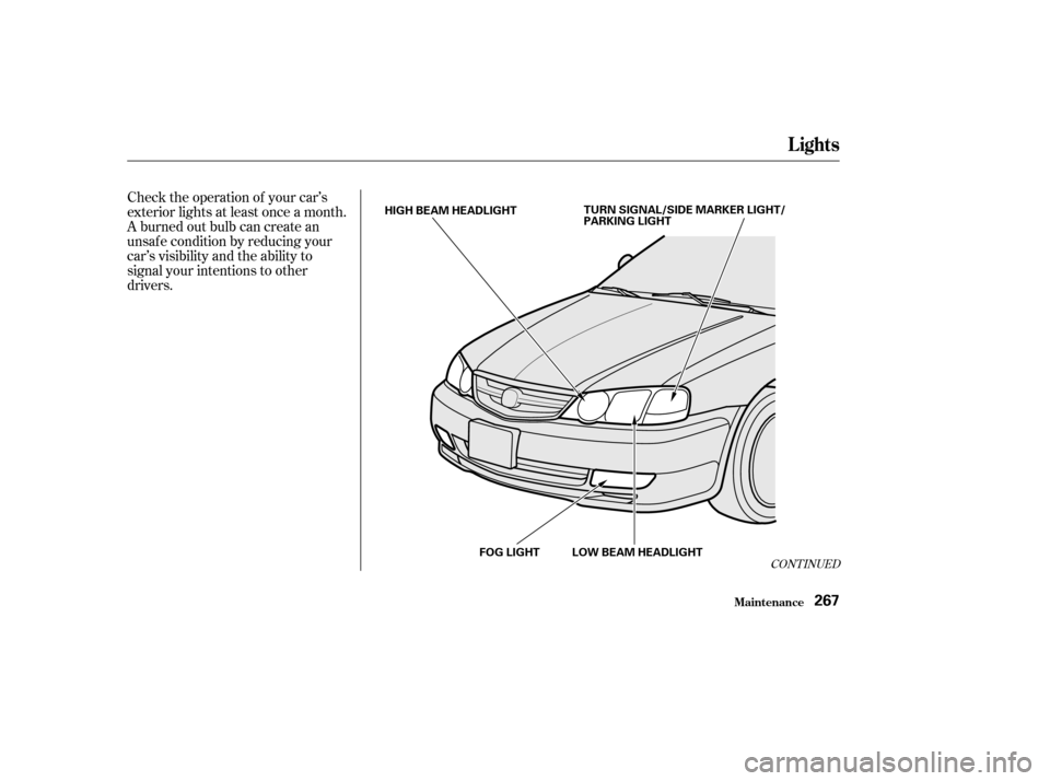 Acura TL 2003  3.2 Owners Manual Check the operation of your car’s
exterior lights at least once a month.
A burned out bulb can create an
unsaf e condition by reducing your
car’s visibility and the ability to
signal your intentio