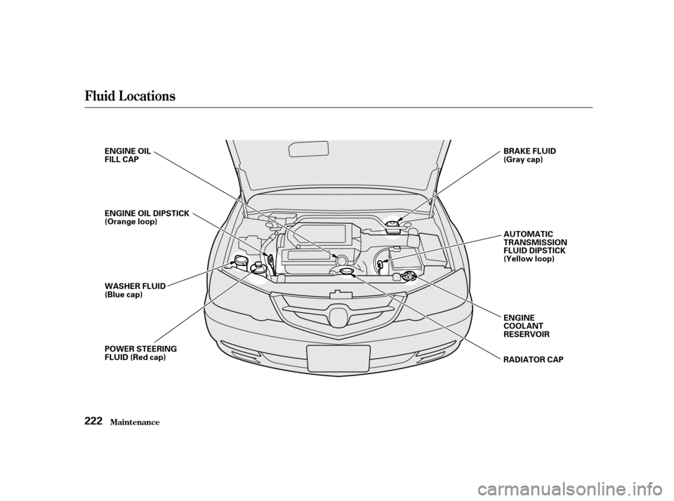 Acura TL 2002  3.2 Owners Manual Maint enance
Fluid Locations
222
R
RAA D
DI
IAA T
TO
OR R C
CAA P
P
E
E
N
NG GIINNE E O
OIILL
F
FI ILLL L C
CAA P
P
E
E N
NG GIINNE E O
OIILL D
DI
IPP S
ST TI
ICCK K
(
( O
Or raan n g
ge
e l
loo o
op
