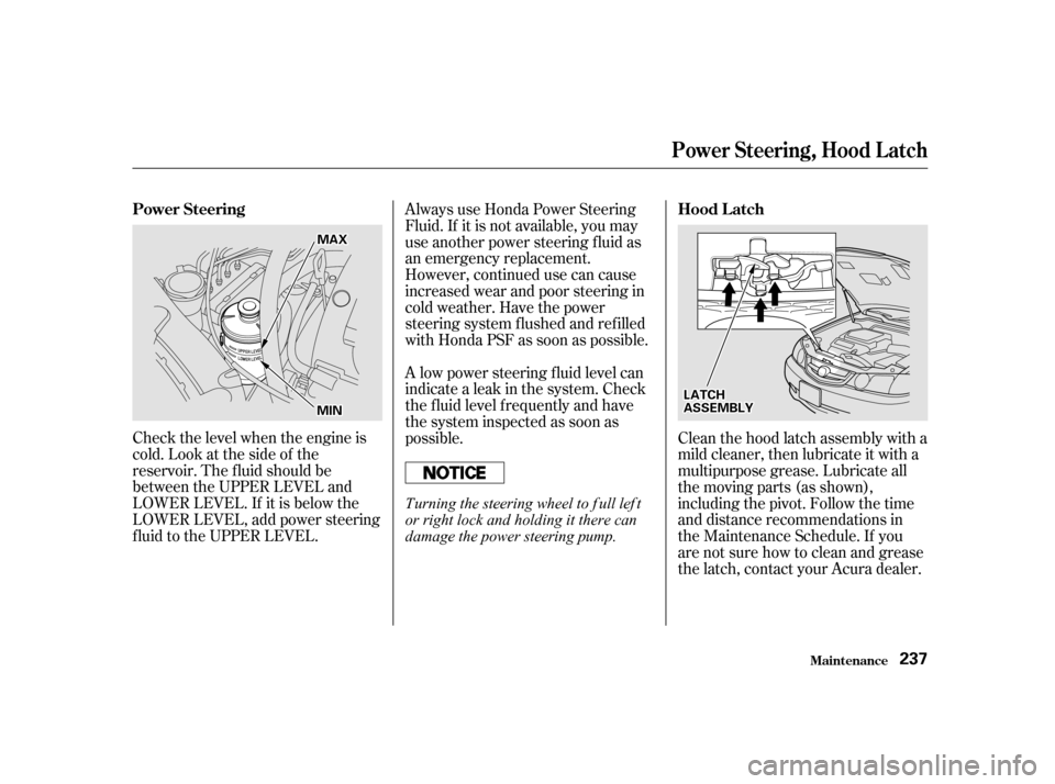 Acura TL 2002  3.2 Owners Guide Check the level when the engine is
cold. Look at the side of the
reservoir. The f luid should be
between the UPPER LEVEL and
LOWER LEVEL. If it is below the
LOWER LEVEL, add power steering
f luid to t