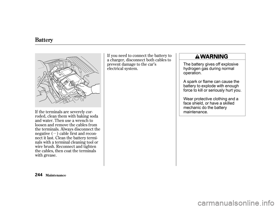 Acura TL 2002  3.2 Owners Guide µ
If the terminals are severely cor-
roded, clean them with baking soda
and water. Then use a wrench to
loosen and remove the cables f rom
the terminals. Always disconnect the
negative ( ) cable f i