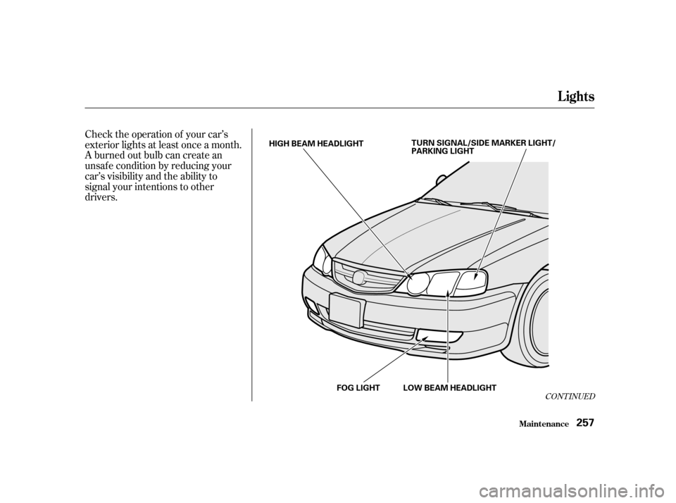 Acura TL 2002  3.2 Owners Manual Check the operation of your car’s
exterior lights at least once a month.
A burned out bulb can create an
unsaf e condition by reducing your
car’s visibility and the ability to
signal your intentio