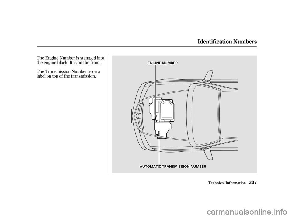 Acura TL 2002  3.2 Owners Manual The Transmission Number is on a
label on top of the transmission. The Engine Number is stamped into
the engine block. It is on the f ront.
Identif ication Numbers
T echnical Inf ormation307
A AU
UT TO