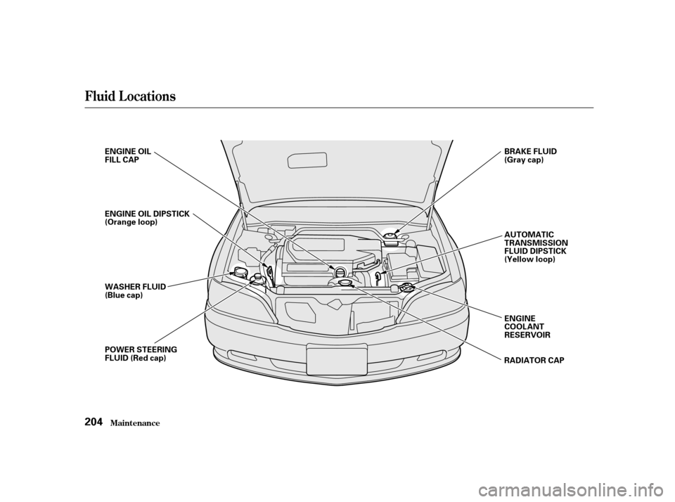Acura TL 2001  3.2 Owners Manual Maint enance
Fluid Locations
204
R
RAA D
DI
IAA T
TO
OR R C
CAA P
P
E
E
N
NG GIINNE E O
OIILL
F
FI ILLL L C
CAA P
P
E
E N
NG GIINNE E O
OIILL D
DI
IPP S
ST TI
ICCK K
(
( O
Or raan n g
ge
e l
loo o
op
