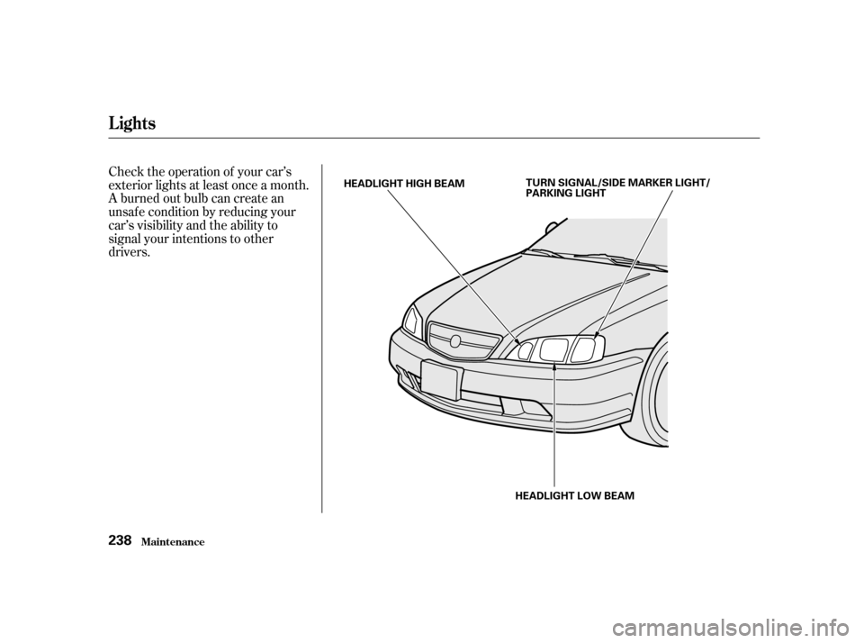 Acura TL 2001  3.2 Owners Manual Check the operation of your car’s
exterior lights at least once a month.
A burned out bulb can create an
unsaf e condition by reducing your
car’s visibility and the ability to
signal your intentio