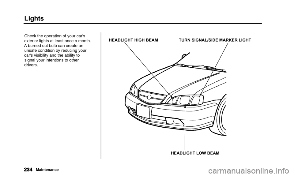 Acura TL 2000  3.2 Owners Manual Lights
Check the operation of your cars
exterior lights at least once a month.
A burned out bulb can create an unsafe condition by reducing your
cars visibility and the ability to signal your intent