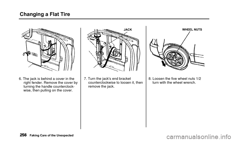 Acura TL 2000 3.2 Owners Manual Changing a Flat Tire
6. The jack is behind a cover in theright fender. Remove the cover by
turning the handle counterclock-
wise, then pulling on the cover.
JACK
7. Turn the jacks end bracket counter Acura TL 2000 3.2 Owners Manual Changing a Flat Tire
6. The jack is behind a cover in theright fender. Remove the cover by
turning the handle counterclock-
wise, then pulling on the cover.
JACK
7. Turn the jacks end bracket counter