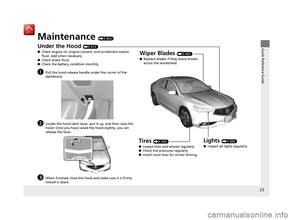 Acura TLX 2020  Owners Manual 23
Quick Reference Guide
Maintenance (P465)
Under the Hood (P474)
● Check engine oil, engine coolant, and windshield washer 
fluid. Add when necessary.
● Check brake fluid.
● Check the battery c