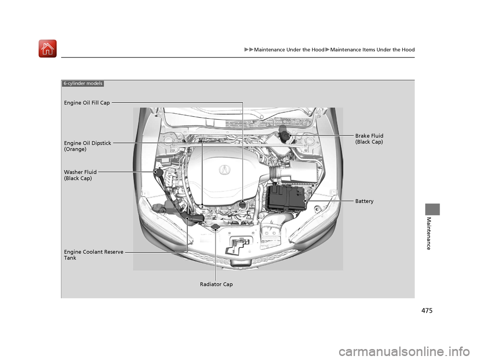 Acura TLX 2020  Owners Manual 475
uuMaintenance Under the Hood uMaintenance Items Under the Hood
Maintenance
Brake Fluid 
(Black Cap)
Washer Fluid 
(Black Cap) Engine Oil Dipstick 
(Orange) Engine Oil Fill Cap
Battery
Engine Coola