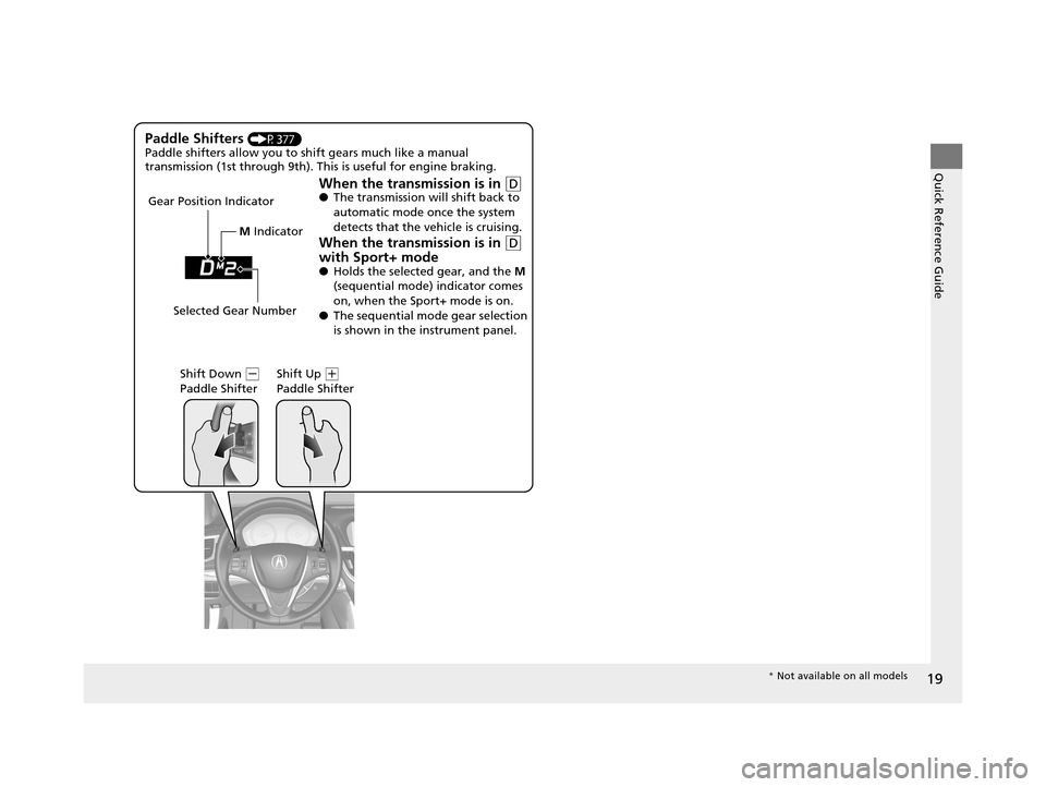 Acura TLX 2019 Owners Manual 19
Quick Reference Guide
Paddle Shifters (P377)
Paddle shifters allow you to shift gears much like a manual
transmission (1st through 9th). This is useful for engine braking.
When the transmission is Acura TLX 2019 Owners Manual 19
Quick Reference Guide
Paddle Shifters (P377)
Paddle shifters allow you to shift gears much like a manual
transmission (1st through 9th). This is useful for engine braking.
When the transmission is