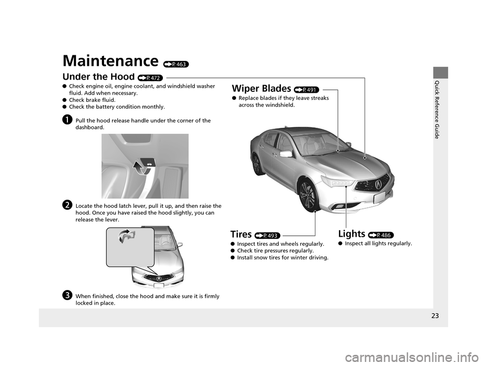 Acura TLX 2019  Owners Manual 23
Quick Reference Guide
Maintenance (P463)
Under the Hood (P472)
● Check engine oil, engine coolant, and windshield washer 
fluid. Add when necessary.
● Check brake fluid.
● Check the battery c