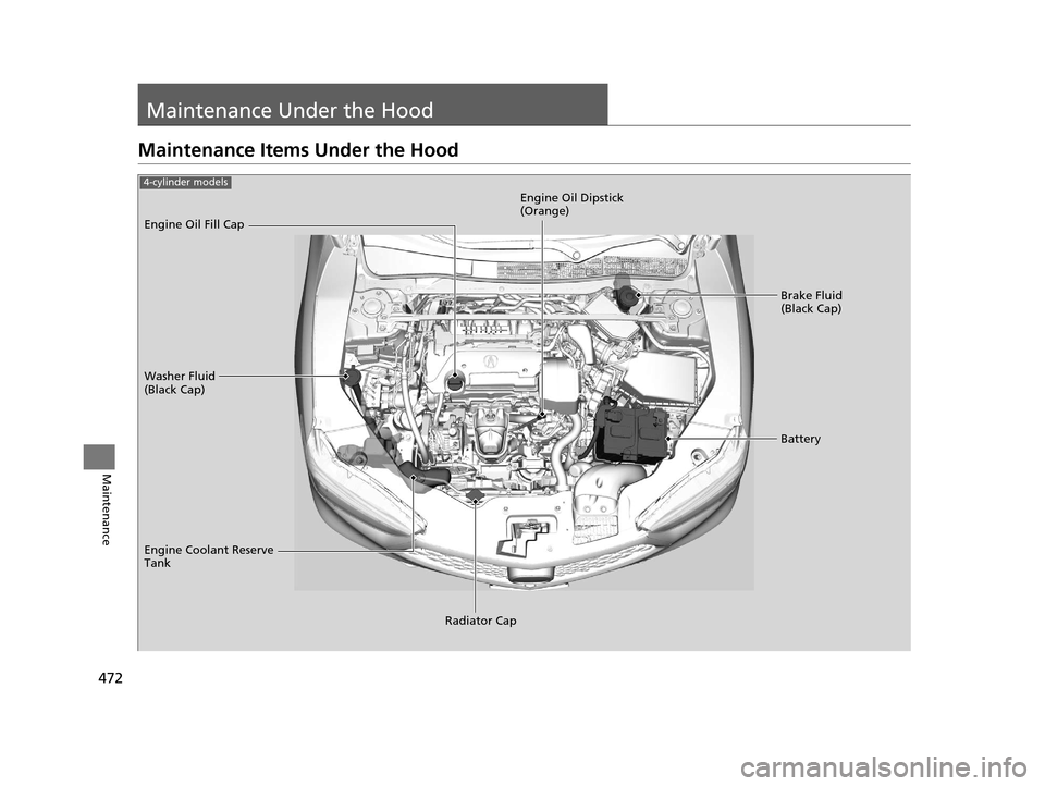Acura TLX 2019 Owners Manual 472
Maintenance
Maintenance Under the Hood
Maintenance Items Under the Hood
Brake Fluid
(Black Cap)
Washer Fluid
(Black Cap) Engine Oil Dipstick
(Orange)
Engine Oil Fill Cap
Battery
Engine Coolant Acura TLX 2019 Owners Manual 472
Maintenance
Maintenance Under the Hood
Maintenance Items Under the Hood
Brake Fluid
(Black Cap)
Washer Fluid
(Black Cap) Engine Oil Dipstick
(Orange)
Engine Oil Fill Cap
Battery
Engine Coolant