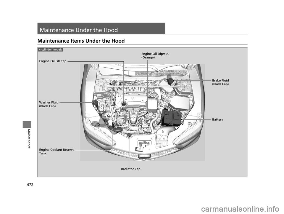 Acura TLX 2019  Owners Manual 472
Maintenance
Maintenance Under the Hood
Maintenance Items Under the Hood
Brake Fluid 
(Black Cap)
Washer Fluid 
(Black Cap) Engine Oil Dipstick 
(Orange)
Engine Oil Fill Cap
Battery
Engine Coolant 