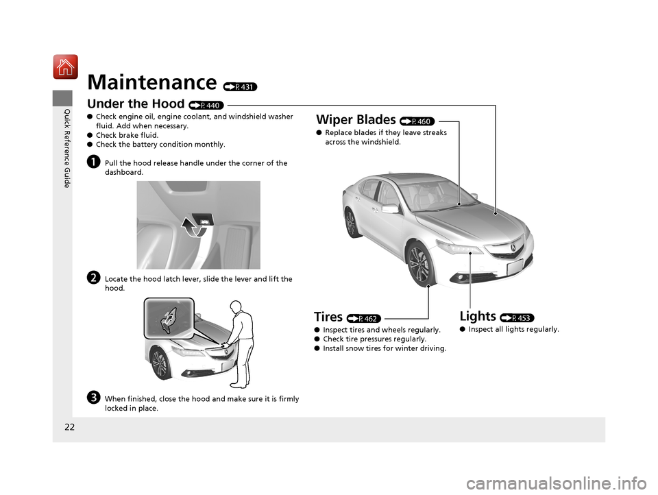 Acura TLX 2017 Owners Manual 22
Quick Reference Guide
Maintenance (P431)
Under the Hood (P440)
● Check engine oil, engine coolant, and windshield washer
fluid. Add when necessary.
● Check brake fluid.
● Check the battery c Acura TLX 2017 Owners Manual 22
Quick Reference Guide
Maintenance (P431)
Under the Hood (P440)
● Check engine oil, engine coolant, and windshield washer
fluid. Add when necessary.
● Check brake fluid.
● Check the battery c