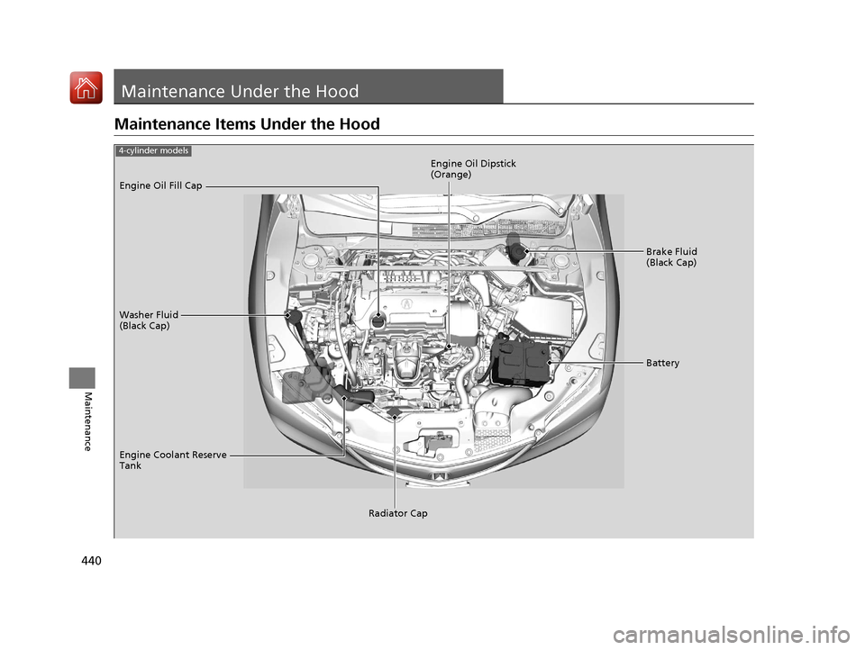 Acura TLX 2017  Owners Manual 440
Maintenance
Maintenance Under the Hood
Maintenance Items Under the Hood
Brake Fluid 
(Black Cap)
Washer Fluid 
(Black Cap) Engine Oil Dipstick 
(Orange)
Engine Oil Fill Cap
Battery
Engine Coolant 
