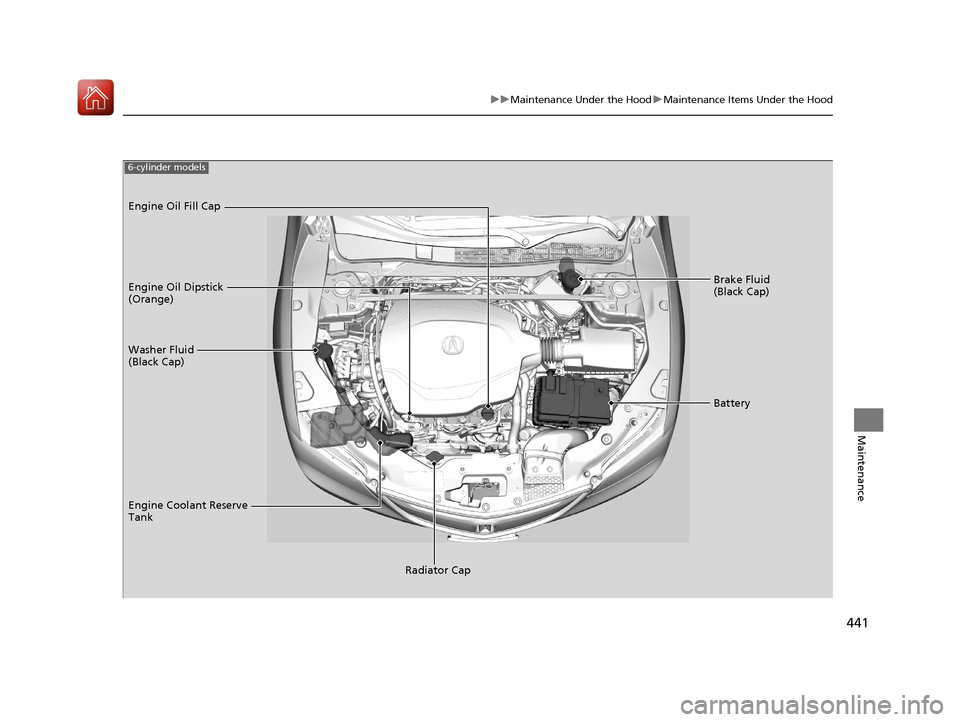Acura TLX 2017  Owners Manual 441
uuMaintenance Under the Hood uMaintenance Items Under the Hood
Maintenance
Brake Fluid 
(Black Cap)
Washer Fluid 
(Black Cap) Engine Oil Dipstick 
(Orange) Engine Oil Fill Cap
Battery
Engine Coola
