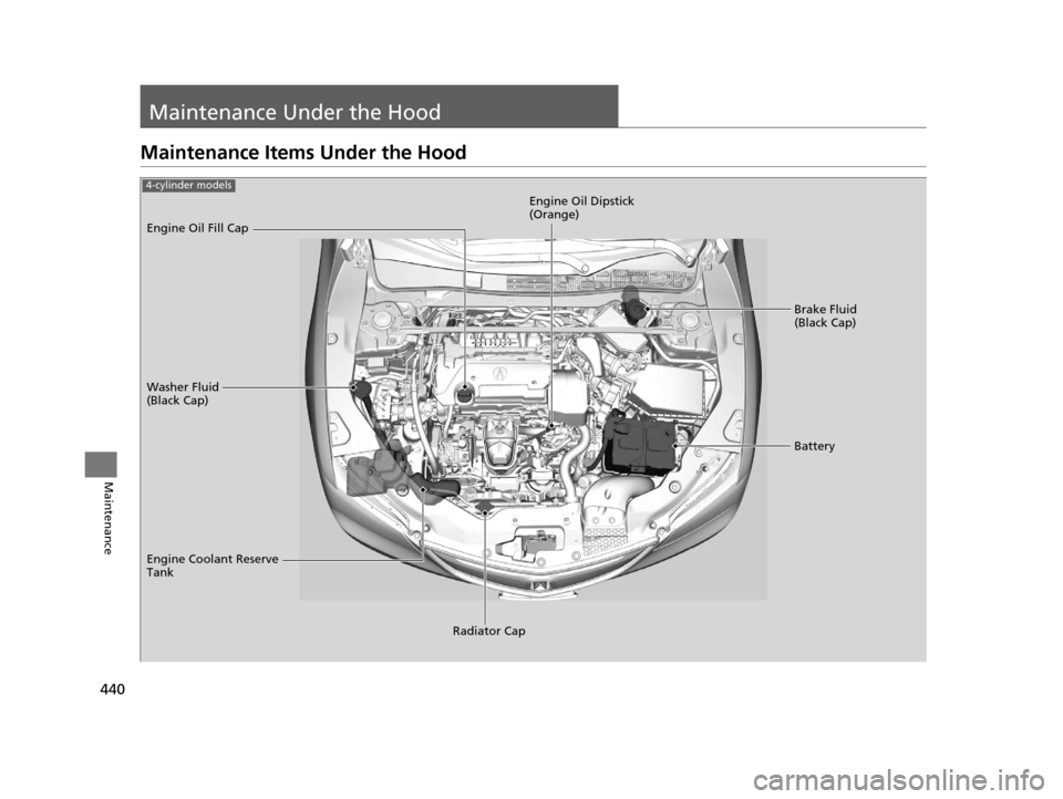 Acura TLX 2016 Owners Manual 440
Maintenance
Maintenance Under the Hood
Maintenance Items Under the Hood
Brake Fluid
(Black Cap)
Washer Fluid
(Black Cap) Engine Oil Dipstick
(Orange)
Engine Oil Fill Cap
Battery
Engine Coolant Acura TLX 2016 Owners Manual 440
Maintenance
Maintenance Under the Hood
Maintenance Items Under the Hood
Brake Fluid
(Black Cap)
Washer Fluid
(Black Cap) Engine Oil Dipstick
(Orange)
Engine Oil Fill Cap
Battery
Engine Coolant