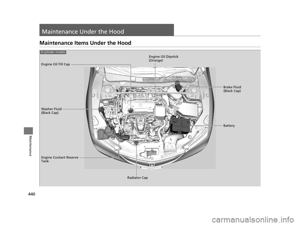 Acura TLX 2016  Owners Manual 440
Maintenance
Maintenance Under the Hood
Maintenance Items Under the Hood
Brake Fluid 
(Black Cap)
Washer Fluid 
(Black Cap) Engine Oil Dipstick 
(Orange)
Engine Oil Fill Cap
Battery
Engine Coolant 