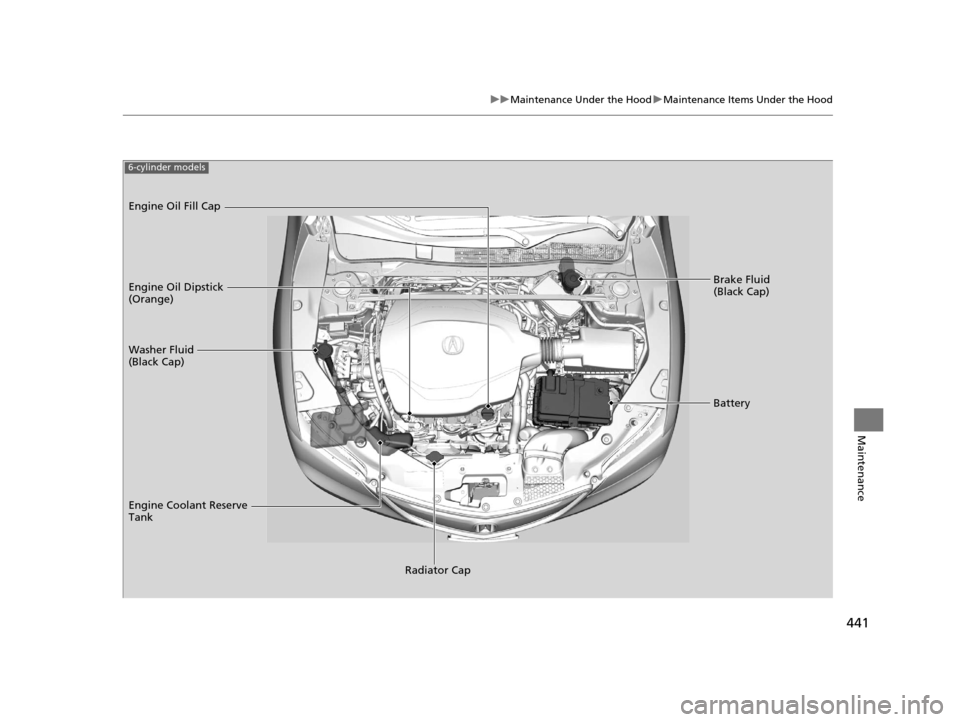 Acura TLX 2016 Owners Manual 441
uuMaintenance Under the Hood uMaintenance Items Under the Hood
Maintenance
Brake Fluid
(Black Cap)
Washer Fluid
(Black Cap) Engine Oil Dipstick
(Orange) Engine Oil Fill Cap
Battery
Engine Coola Acura TLX 2016 Owners Manual 441
uuMaintenance Under the Hood uMaintenance Items Under the Hood
Maintenance
Brake Fluid
(Black Cap)
Washer Fluid
(Black Cap) Engine Oil Dipstick
(Orange) Engine Oil Fill Cap
Battery
Engine Coola