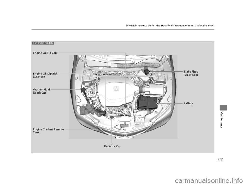 Acura TLX 2016  Owners Manual 441
uuMaintenance Under the Hood uMaintenance Items Under the Hood
Maintenance
Brake Fluid 
(Black Cap)
Washer Fluid 
(Black Cap) Engine Oil Dipstick 
(Orange) Engine Oil Fill Cap
Battery
Engine Coola