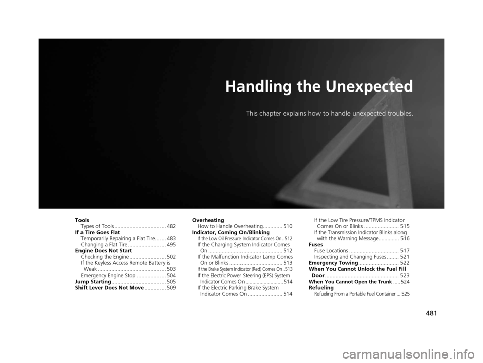 Acura TLX 2016  Owners Manual 481
Handling the Unexpected
This chapter explains how to handle unexpected troubles.
ToolsTypes of Tools .................................. 482
If a Tire Goes Flat Temporarily Repairi ng a Flat Tire..