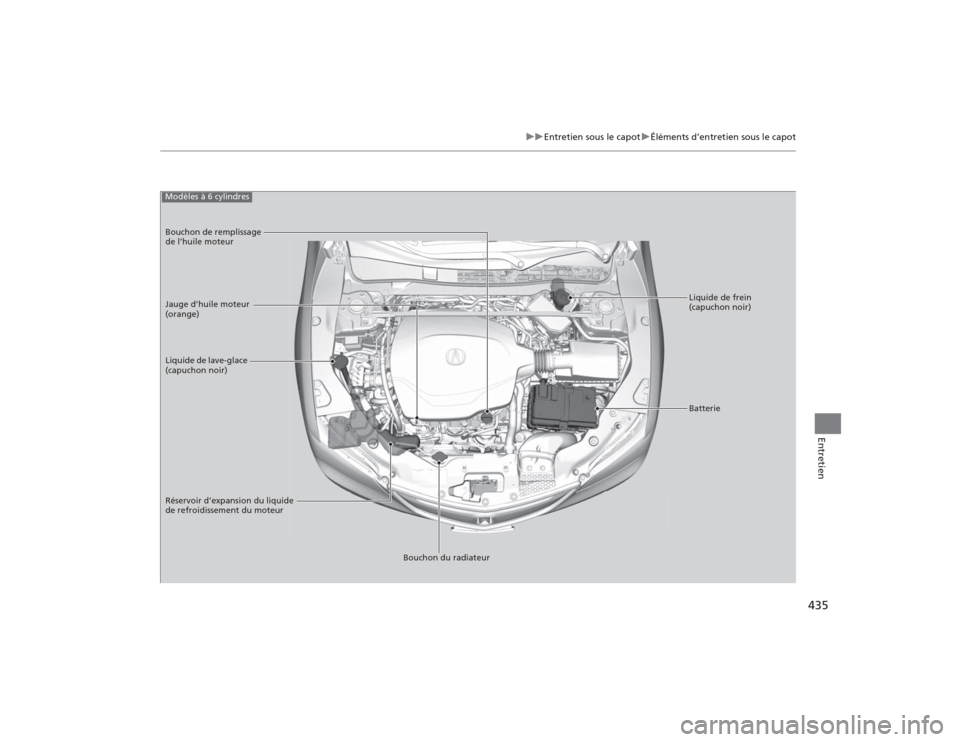 Acura TLX 2015 Manuel du propriétaire (in French) 435
uuEntretien sous le capot uÉléments d’entretien sous le capot
Entretien
Liquide de frein
(capuchon noir)
Liquide de lave-glace
(capuchon noir) Jauge d’huile moteur
(orange) Bouchon de rem Acura TLX 2015 Manuel du propriétaire (in French) 435
uuEntretien sous le capot uÉléments d’entretien sous le capot
Entretien
Liquide de frein
(capuchon noir)
Liquide de lave-glace
(capuchon noir) Jauge d’huile moteur
(orange) Bouchon de rem
