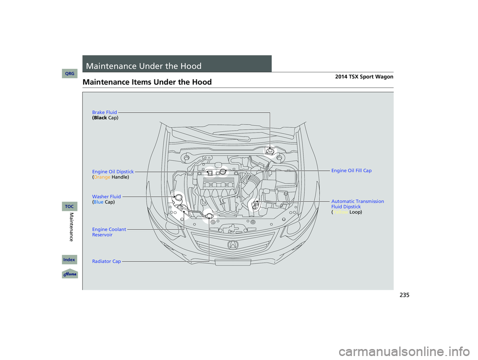 Acura TSX 2014  Owners Manual 235


Maintenance Under the Hood
Maintenance Items Under the Hood
Brake Fluid 
(Black  Cap)
Engine Coolant 
Reservoir
Radiator Cap Washer Fluid 
( Blue  Cap)
Engine Oil Dipstick 
(
Orange Handle