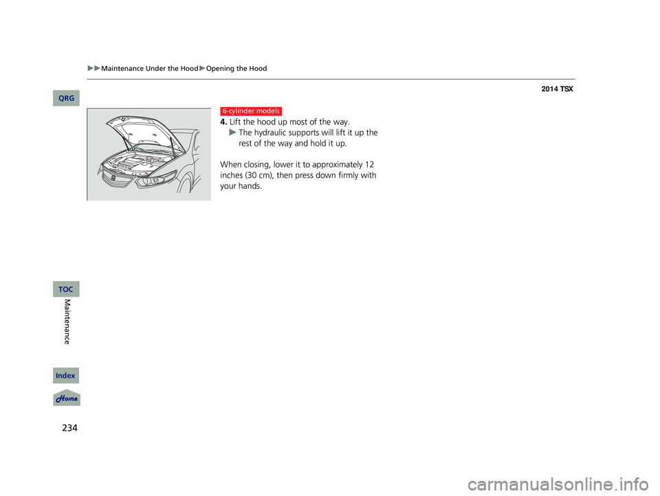 Acura TSX 2014 Owners Guide 234
uu Maintenance Under the Hood u Opening the Hood
4. Lift the hood up most of the way.
u The hydraulic supports will lift it up the
rest of the way and hold it up.
When closing, lower it Acura TSX 2014 Owners Guide 234
uu Maintenance Under the Hood u Opening the Hood
4. Lift the hood up most of the way.
u The hydraulic supports will lift it up the
rest of the way and hold it up.
When closing, lower it