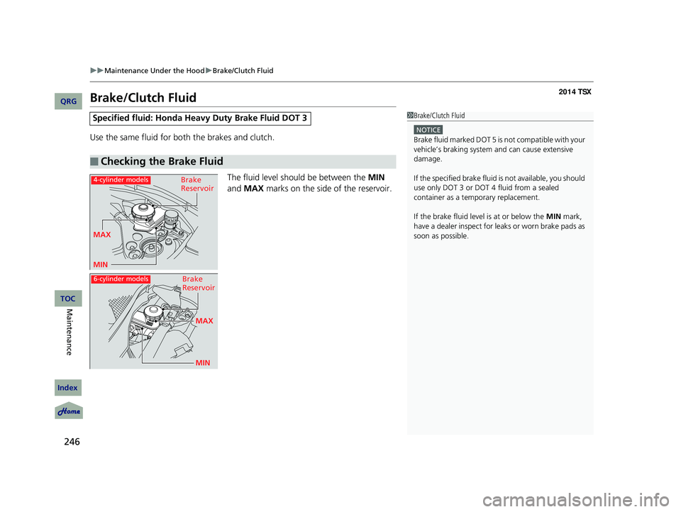 Acura TSX 2014 Owners Manual 246
uu Maintenance Under the Hood u Brake/Clutch Fluid
Brake/Clutch Fluid
Use the same fluid for bo th the brakes and clutch.
The fluid level should be between the MIN
and MAX marks on th Acura TSX 2014 Owners Manual 246
uu Maintenance Under the Hood u Brake/Clutch Fluid
Brake/Clutch Fluid
Use the same fluid for bo th the brakes and clutch.
The fluid level should be between the MIN
and MAX marks on th