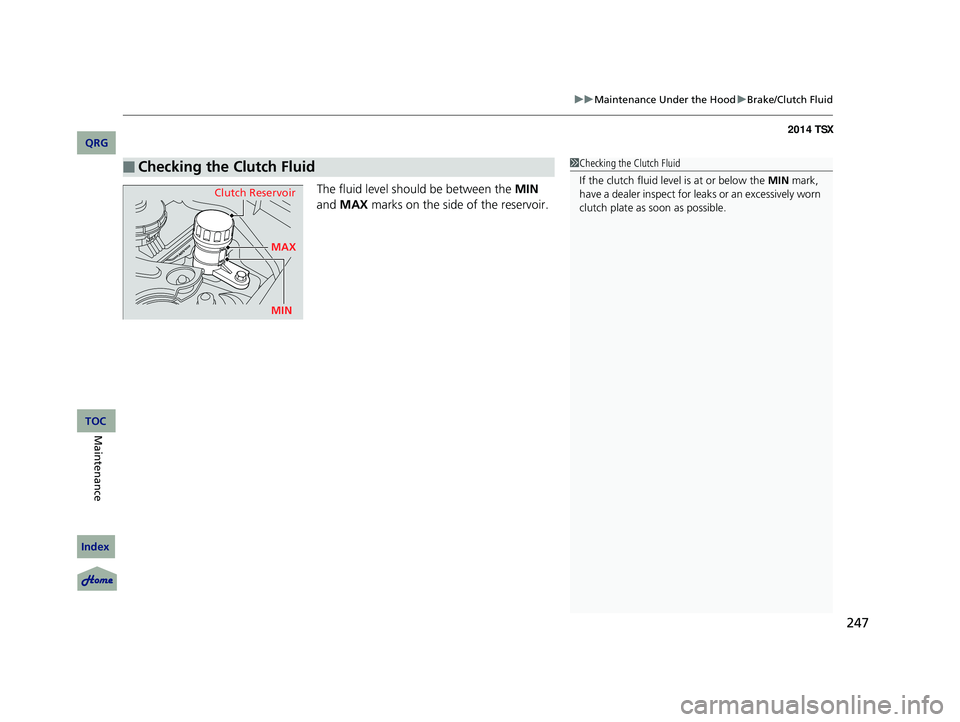 Acura TSX 2014 Owners Manual 247
uu Maintenance Under the Hood u Brake/Clutch Fluid
The fluid level should be between the MIN
and MAX marks on the side of the reservoir.
■Checking the Clutch Fluid1Checking the Clutch F Acura TSX 2014 Owners Manual 247
uu Maintenance Under the Hood u Brake/Clutch Fluid
The fluid level should be between the MIN
and MAX marks on the side of the reservoir.
■Checking the Clutch Fluid1Checking the Clutch F