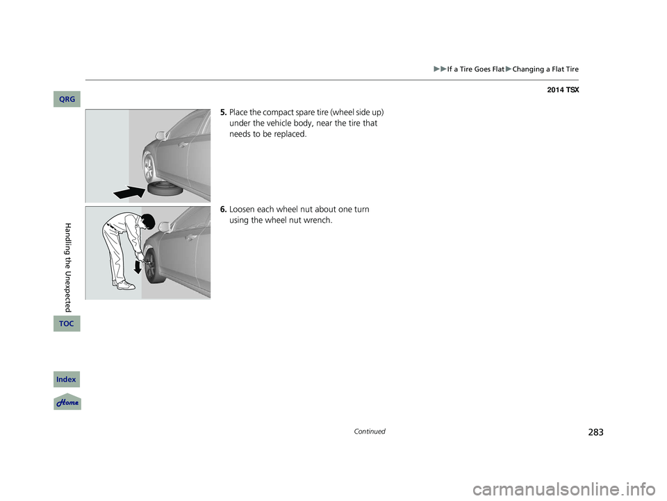 Acura TSX 2014 Owners Manual 283
uu If a Tire Goes Flat u Changing a Flat Tire
Continued
5. Place the compact spare tire (wheel side up)
under the vehicle body, near the tire that
needs to be replaced.
6. Loosen each Acura TSX 2014 Owners Manual 283
uu If a Tire Goes Flat u Changing a Flat Tire
Continued
5. Place the compact spare tire (wheel side up)
under the vehicle body, near the tire that
needs to be replaced.
6. Loosen each