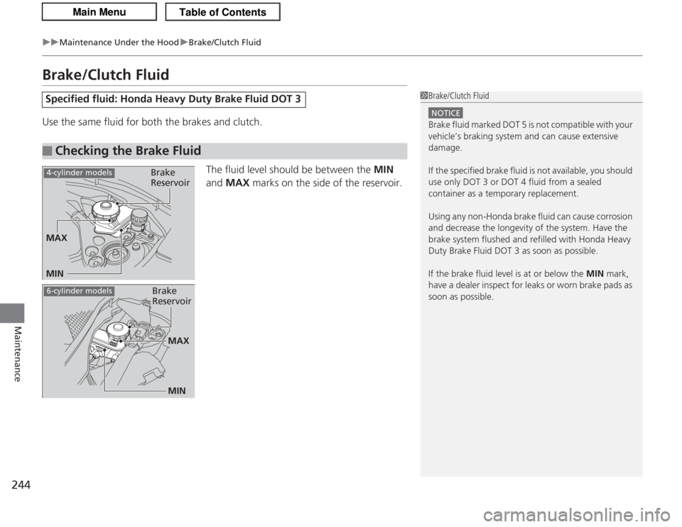 Acura TSX 2013  Owners Manual 244
uuMaintenance Under the Hood uBrake/Clutch Fluid
Maintenance
Brake/Clutch FluidUse the same fluid for both the brakes and clutch.
The fluid level should be between the  MIN 
and  MAX  marks on the