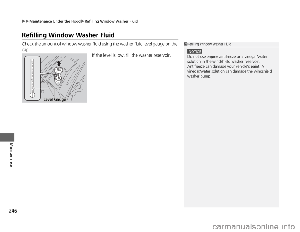 Acura TSX 2012  Owners Manual 246
uuMaintenance Under the HooduRefilling Window Washer Fluid
Maintenance
Refilling Window Washer FluidCheck the amount of window washer fluid using the washer fluid level gauge on the 
cap.
If the l