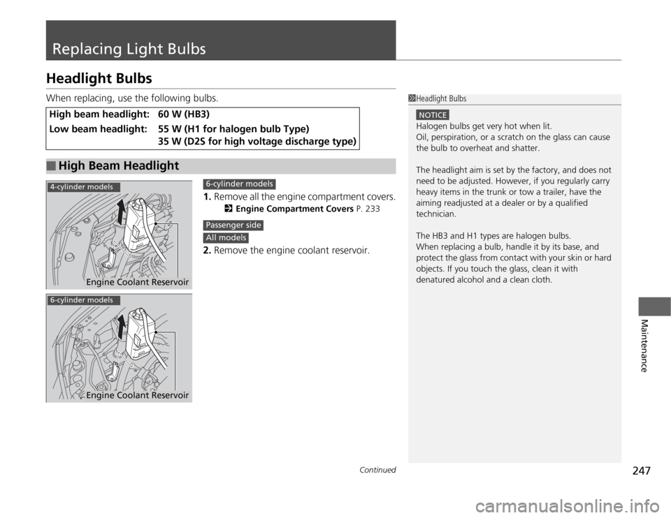 Acura TSX 2012  Owners Manual 247
Continued
Maintenance
Replacing Light BulbsHeadlight BulbsWhen replacing, use the following bulbs.
1.Remove all the engine compartment covers.
2Engine Compartment Covers P. 233
2.Remove the engine