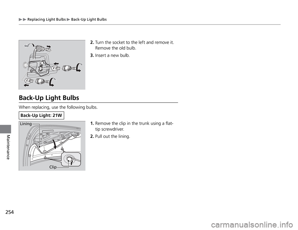 Acura TSX 2011  Owners Manual  Replacing Light Bulbs 
 Back-Up Light Bulbs
254Maintenance
2. Turn the socket to the left and remove it. 
Remove the old bulb.
3. Insert a new bulb.
Back-Up Light BulbsWhen replacing, use the followi